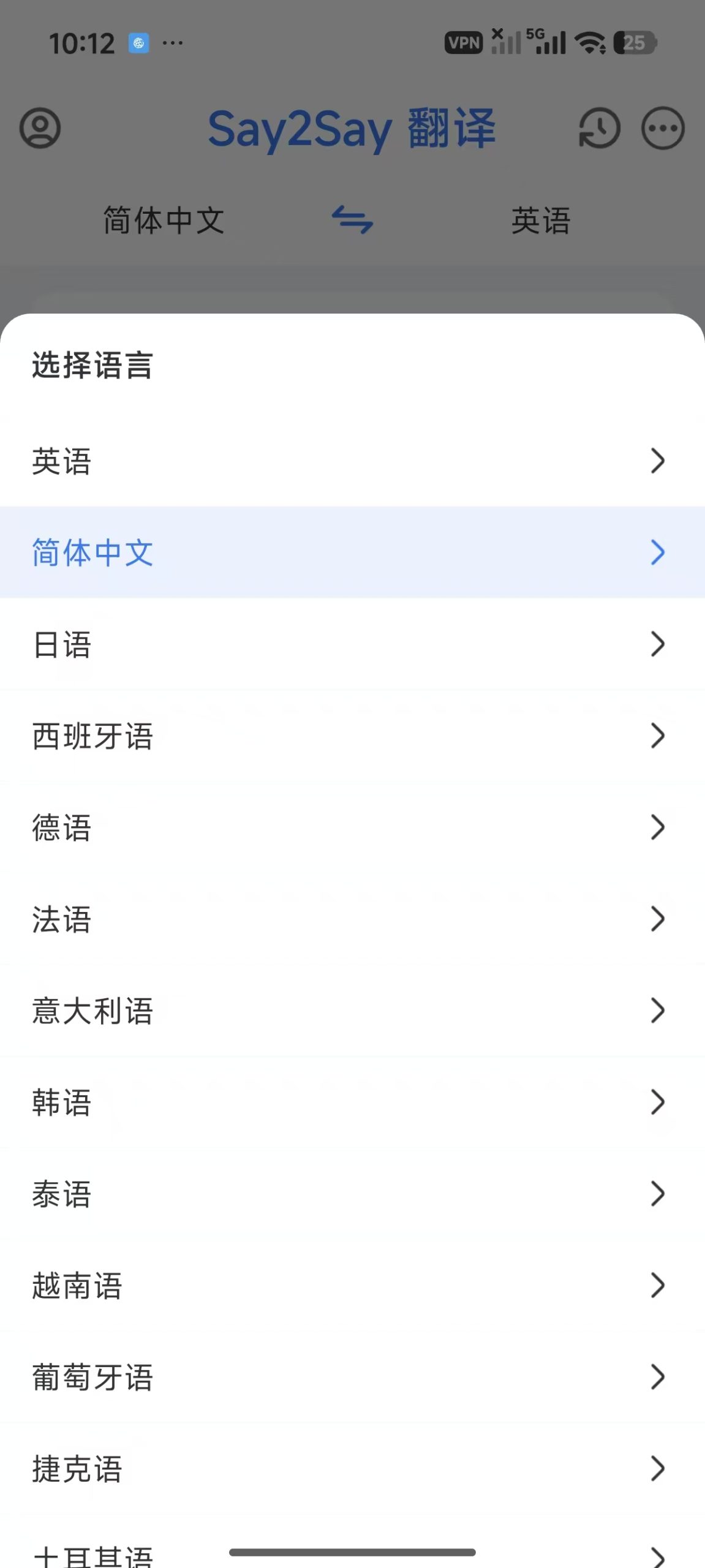 翻译结果展示截图